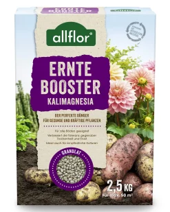 Allflor Dünger Erntebooster Kalimagnesia 2,5 kg