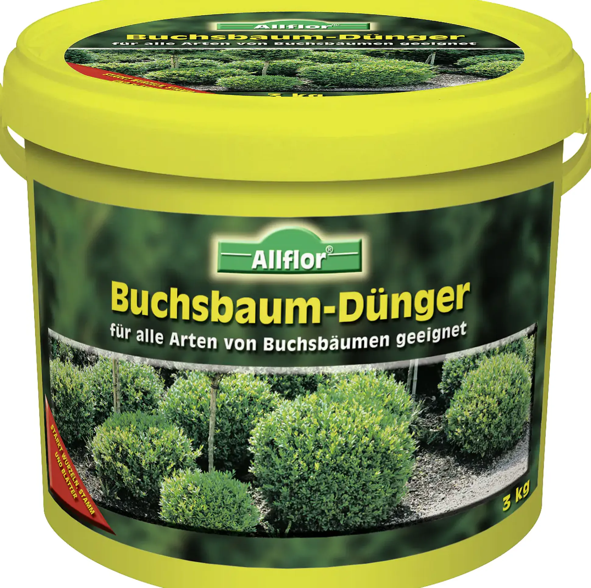 Allflor Gartendünger Buchsbaum 3 kg