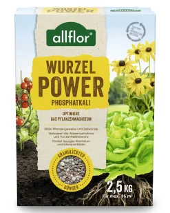 Allflor Wurzelpower Phosphat-Kali 2,5 kg