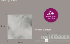 Ambiente Glaszaun B x H: 120 cm x 120 cm, gehärtetes 8 mm Glas