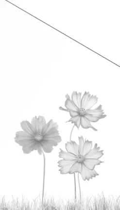 Ambiente Glaszaun Dekor 93 schräg 103 x 180/120 cm gehärtetes 8 mm Glas