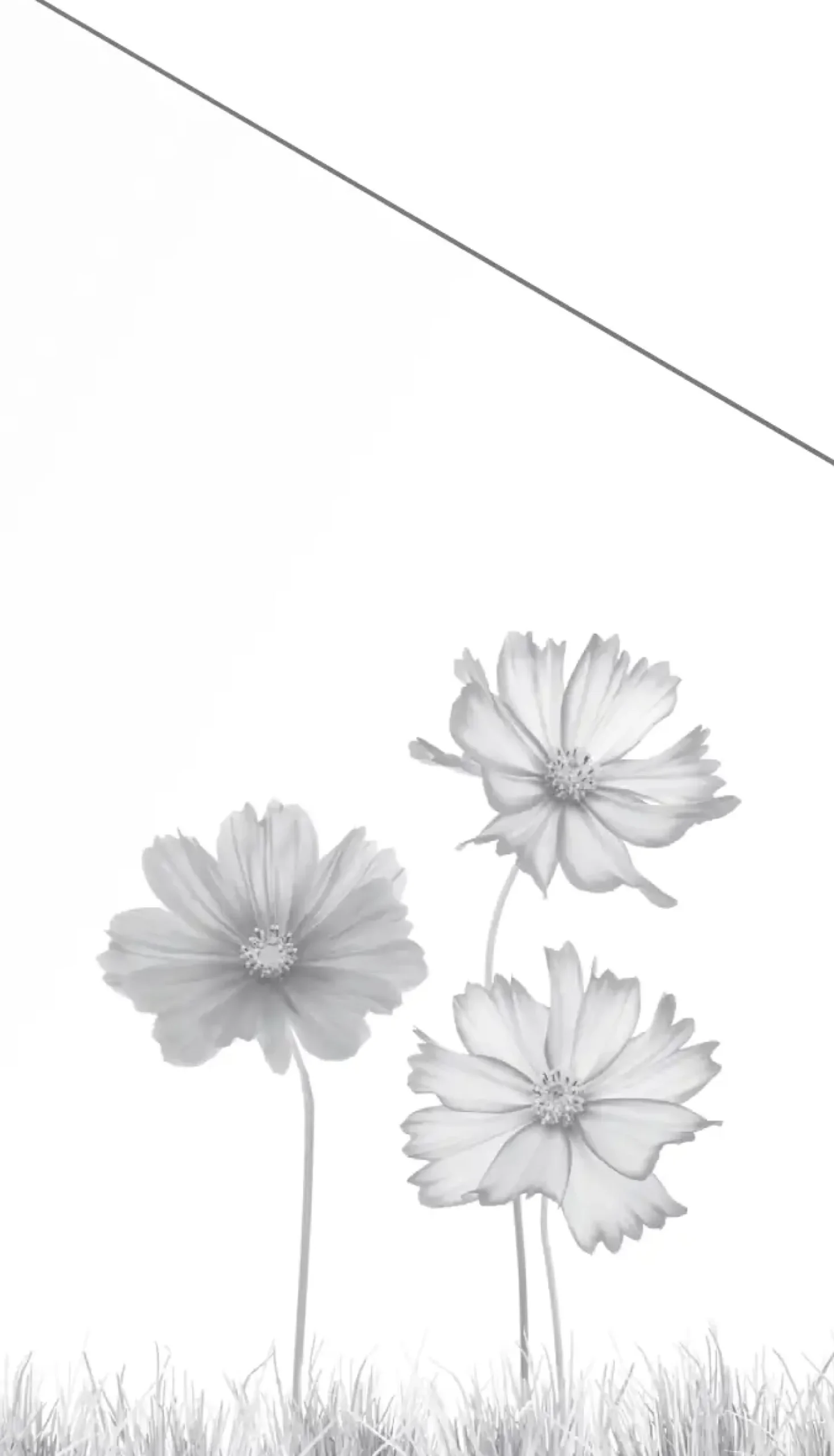 Ambiente Glaszaun Dekor 93 schräg 103 x 180/120 cm gehärtetes 8 mm Glas