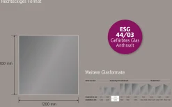 Ambiente Glaszaun Dekor 44/03 120 x 120 cm gehärtetes 8 mm Glas