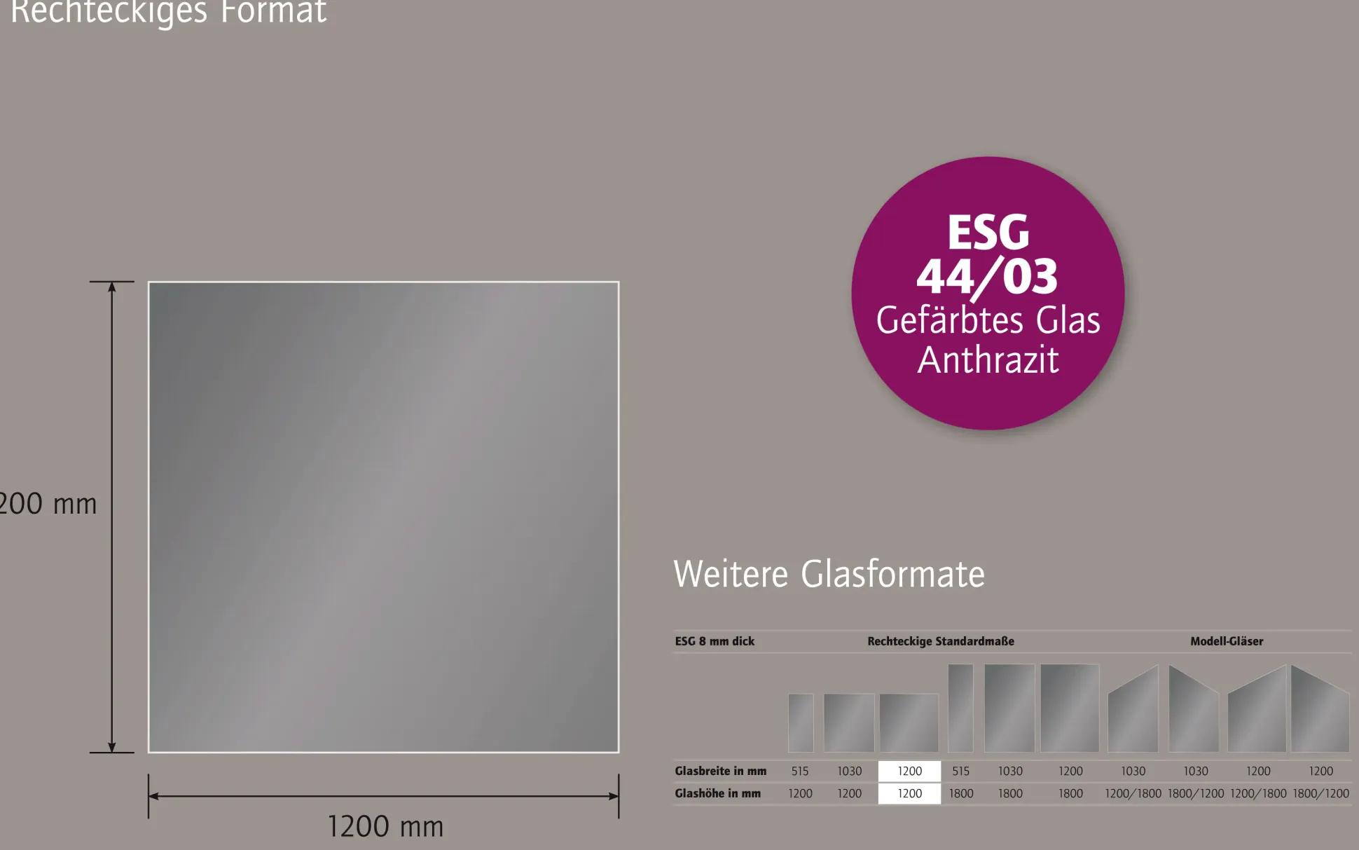 Ambiente Glaszaun Dekor 44/03 120 x 120 cm gehärtetes 8 mm Glas