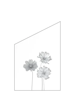 Ambiente Glaszaun Dekor 93 schräg 120 x 120/180 cm gehärtetes 8 mm Glas