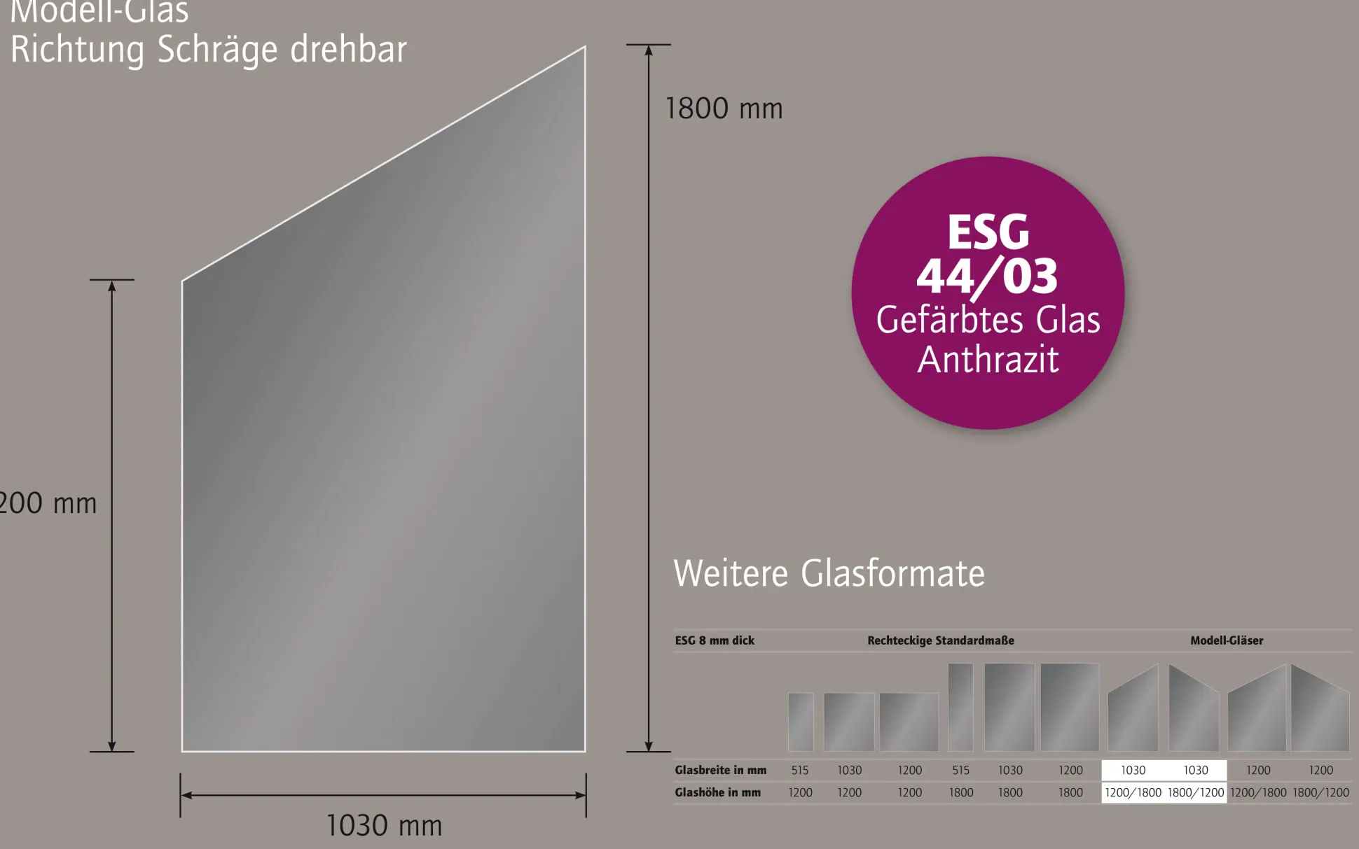 Ambiente Glaszaun Dekor 44/03 schräg 103 x 120/180 cm gehärtetes 8 mm Glas