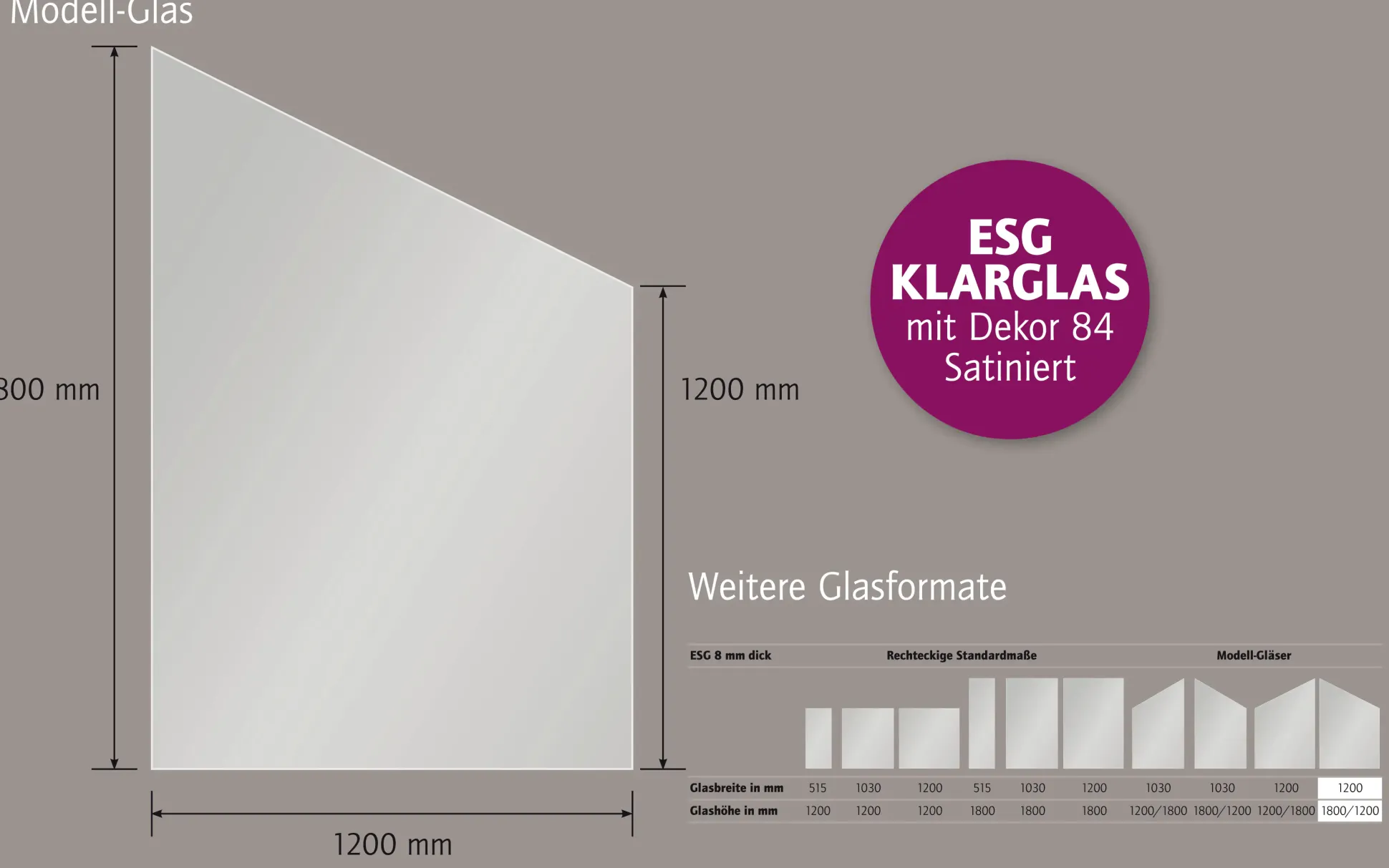 Ambiente Glaszaun Dekor 84 schräg 120 x 180/120 cm gehärtetes 8 mm Glas