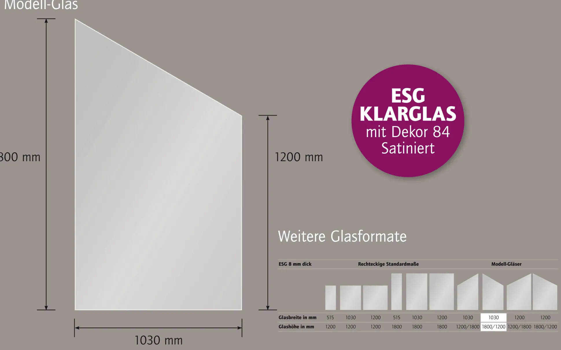 Ambiente Glaszaun Dekor 84 schräg 103 x 180/120 cm gehärtetes 8 mm Glas