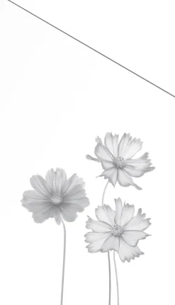 Ambiente Glaszaun Dekor 93 schräg 103 x 180/120 cm gehärtetes 8 mm Glas