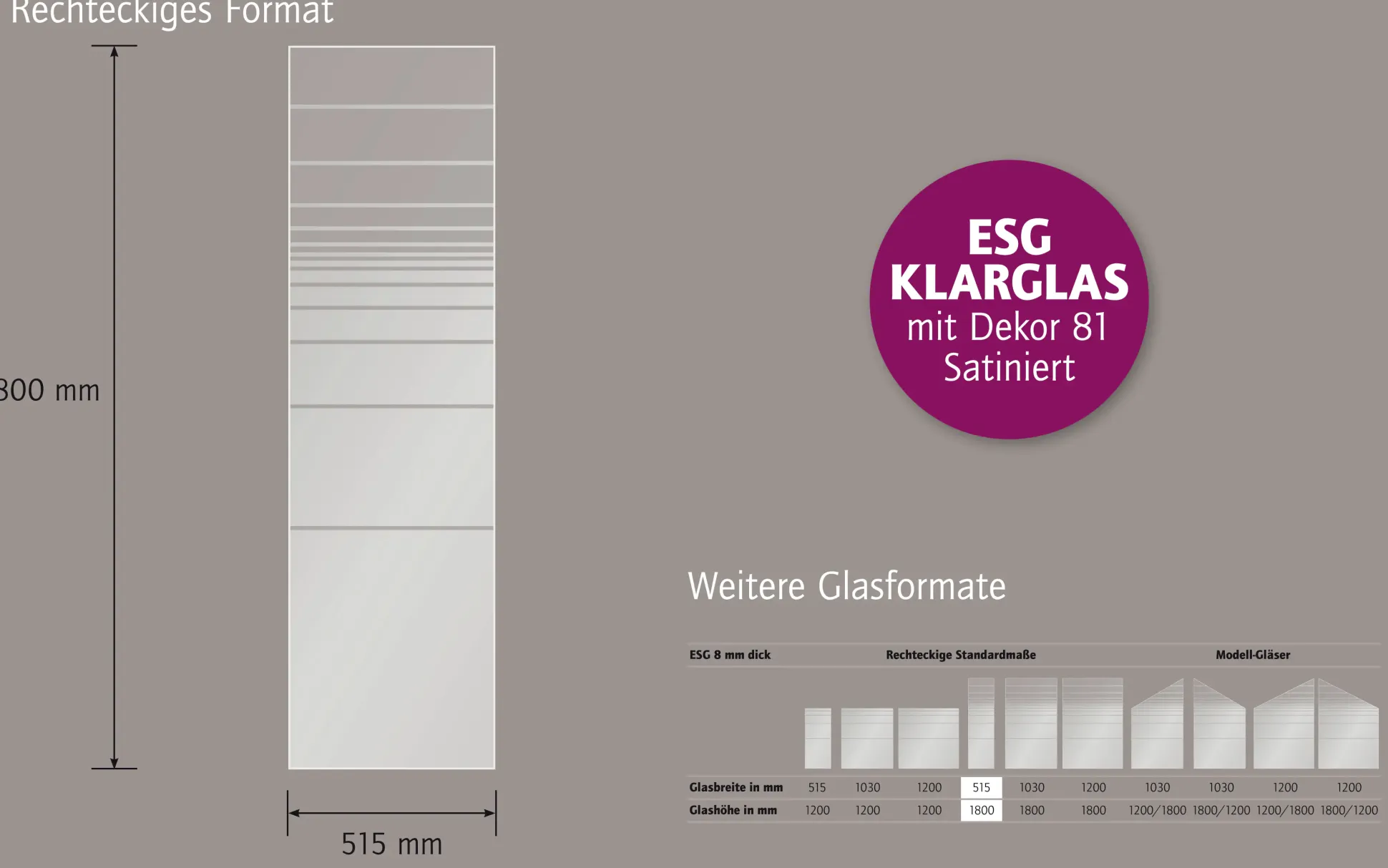 Ambiente Glaszaun Dekor 81 51,5 x 180 cm gehärtetes 8 mm Glas