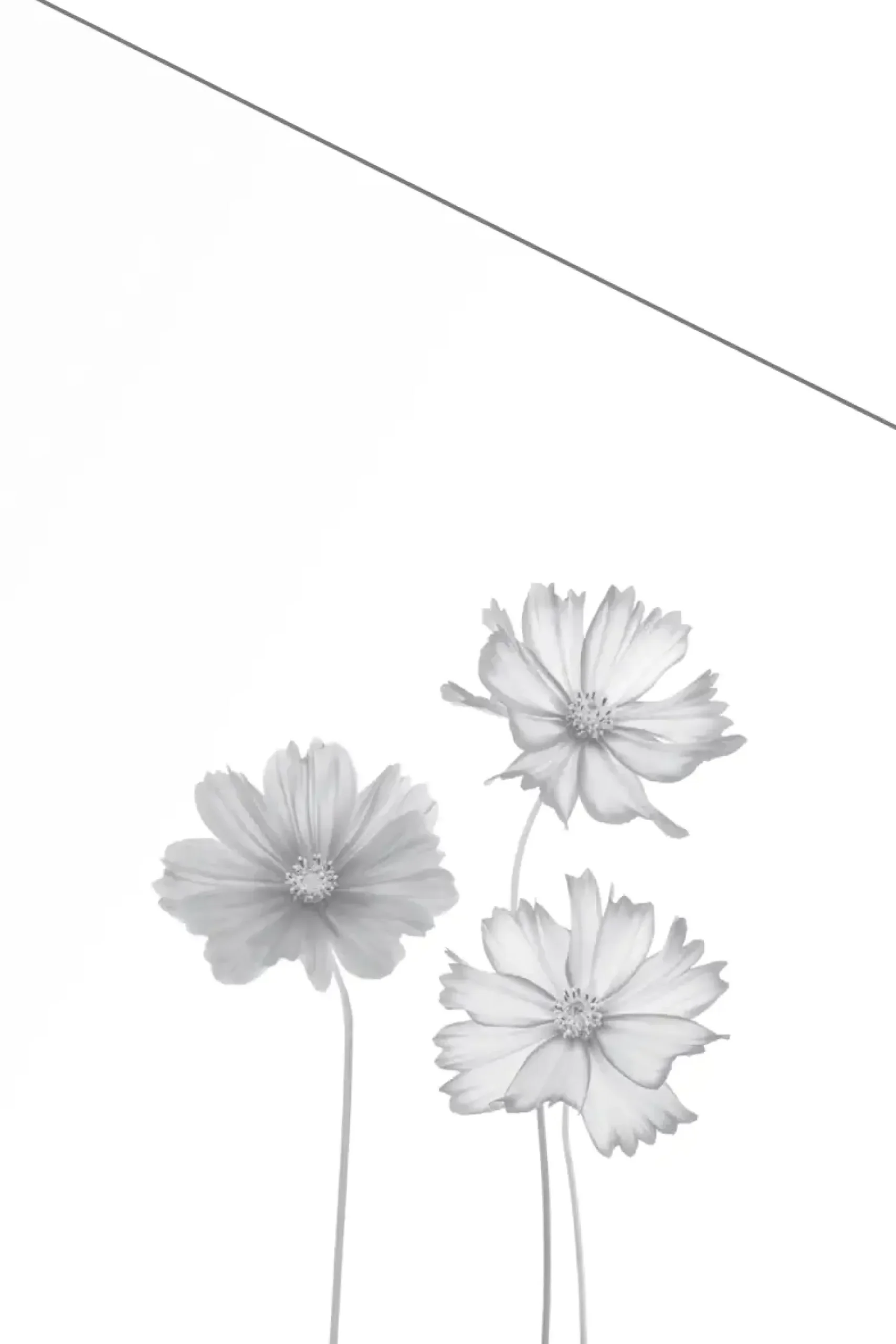 Ambiente Glaszaun Dekor 93 schräg 120 x 180/120 cm gehärtetes 8 mm Glas