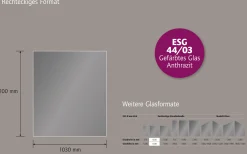 Ambiente Glaszaun Dekor 44/03 103 x 120 cm gehärtetes 8 mm Glas