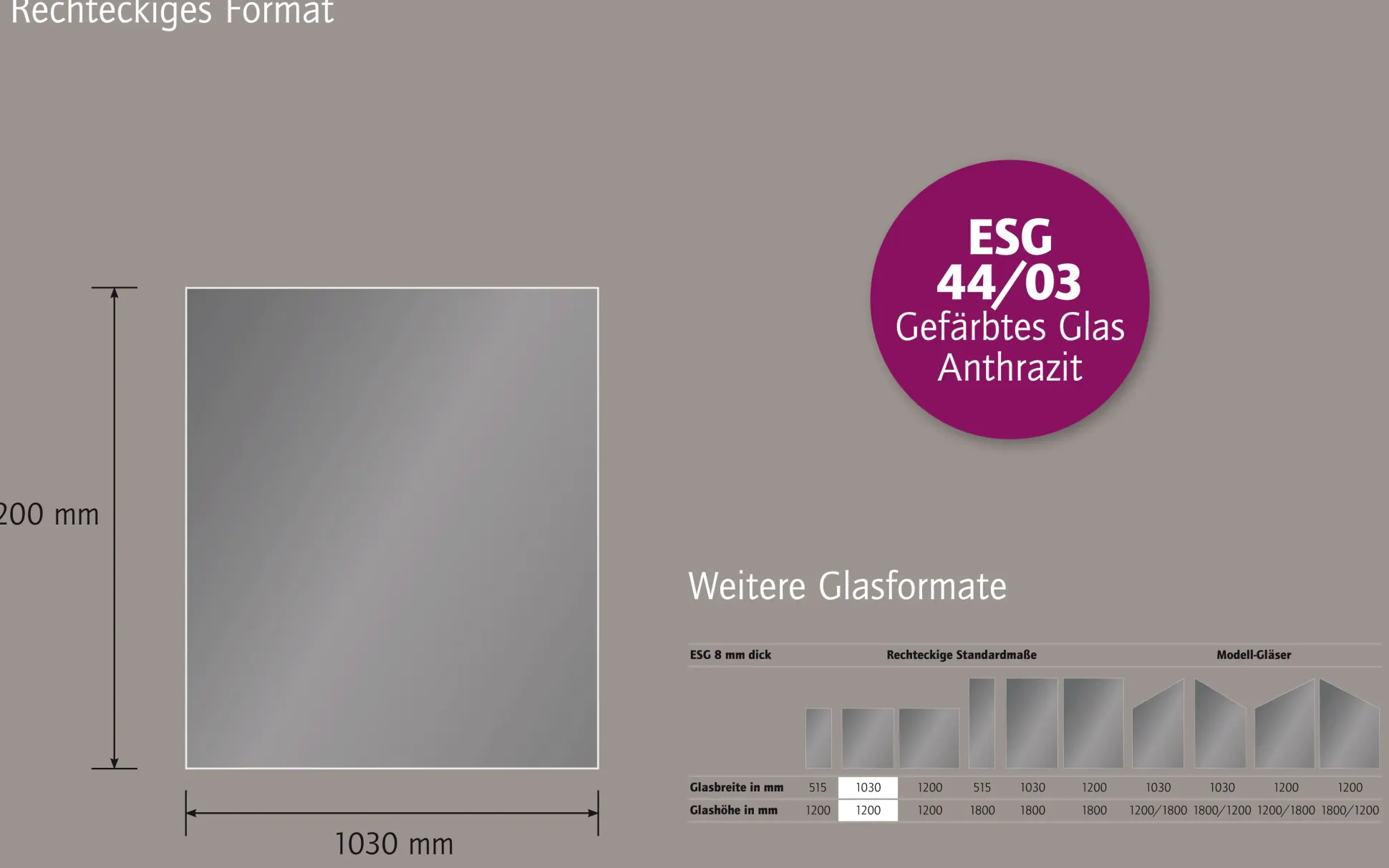 Ambiente Glaszaun Dekor 44/03 103 x 120 cm gehärtetes 8 mm Glas