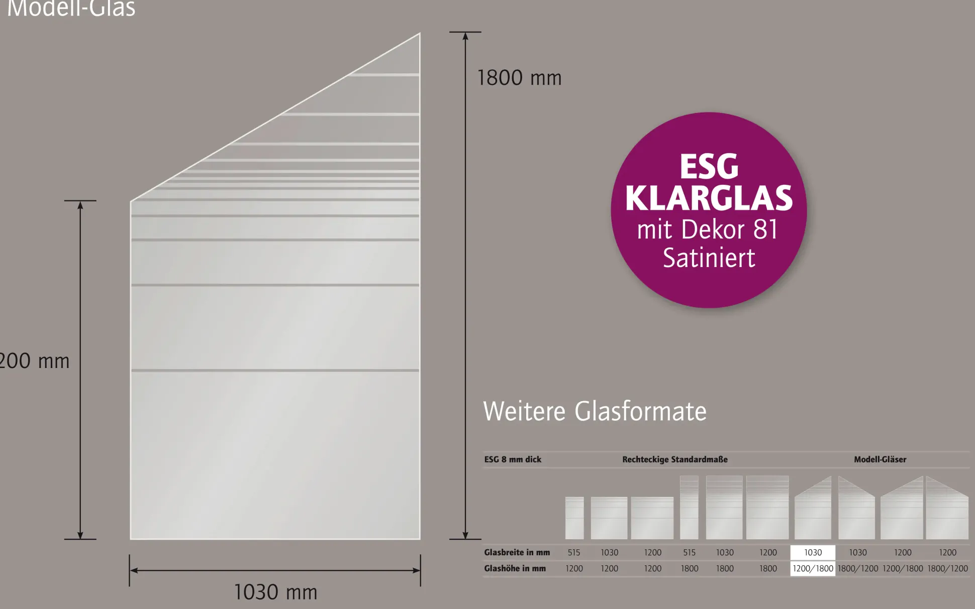 Ambiente Glaszaun Dekor 81 schräg 103 x 120/180 cm gehärtetes 8 mm Glas