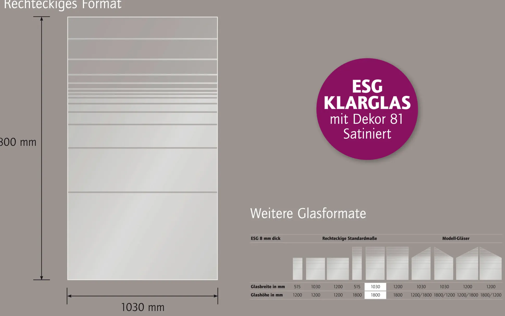 Ambiente Glaszaun Dekor 81 103 x 180 cm gehärtetes 8 mm Glas