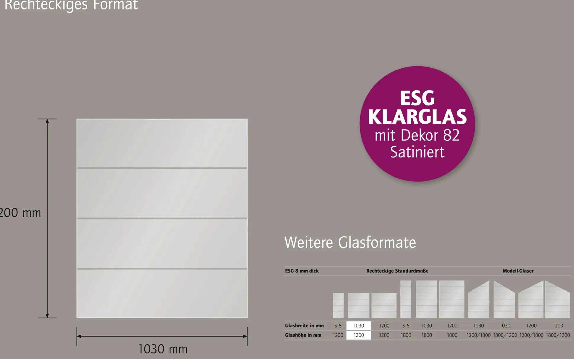 Ambiente Glaszaun Dekor 82 103 x 120 cm gehärtetes 8 mm Glas