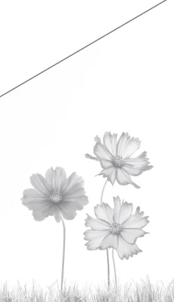 Ambiente Glaszaun Dekor 93 schräg 103 x 120/180 cm gehärtetes 8 mm Glas