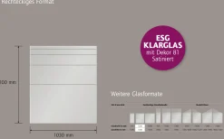 Ambiente Glaszaun Dekor 81 103 x 120 cm gehärtetes 8 mm Glas
