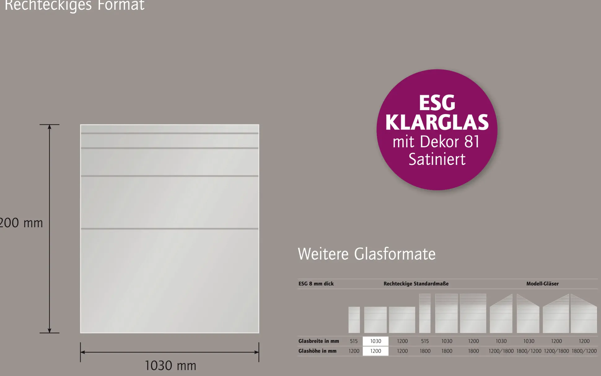Ambiente Glaszaun Dekor 81 103 x 120 cm gehärtetes 8 mm Glas