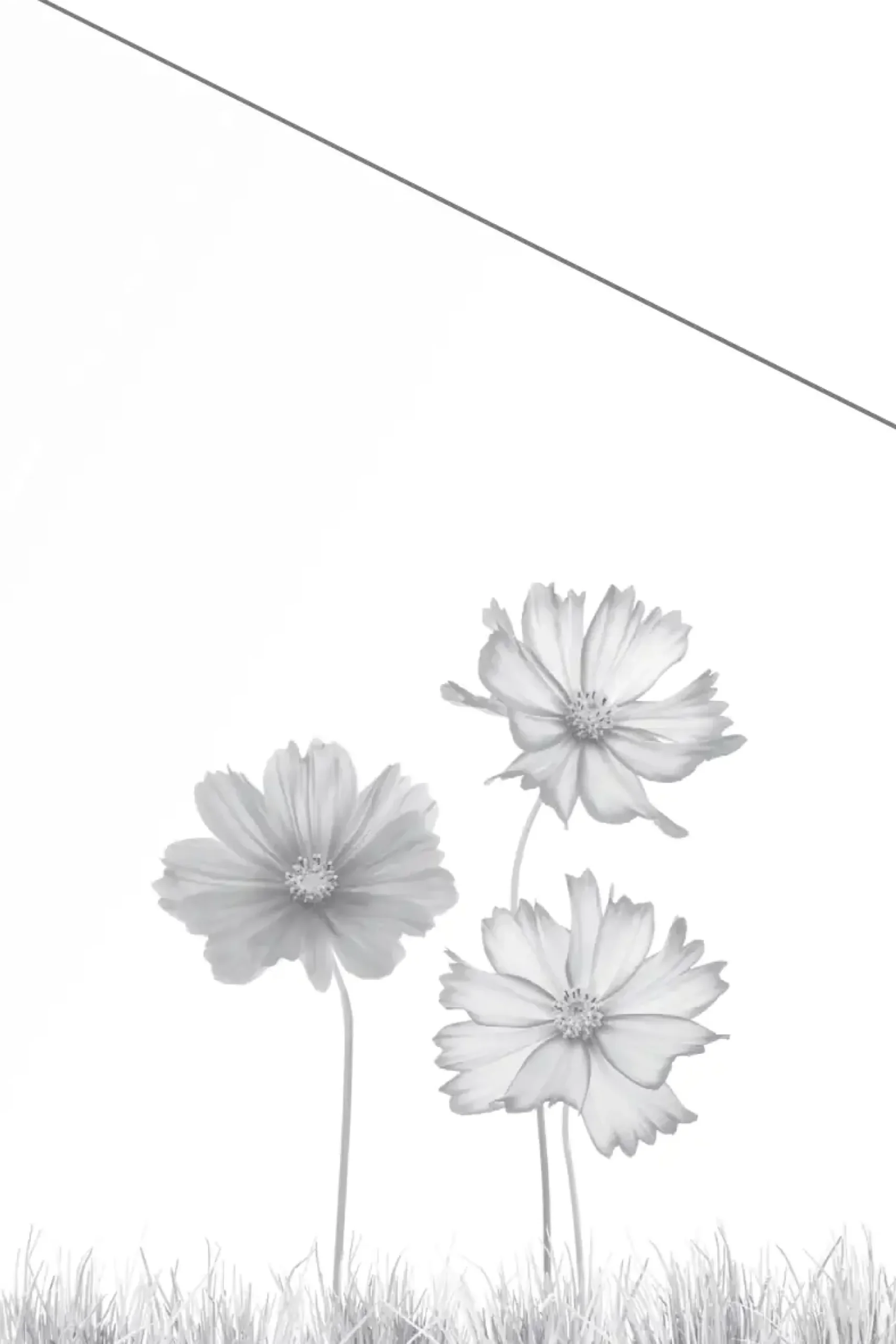 Ambiente Glaszaun Dekor 93 schräg 120 x 180/120 cm gehärtetes 8 mm Glas