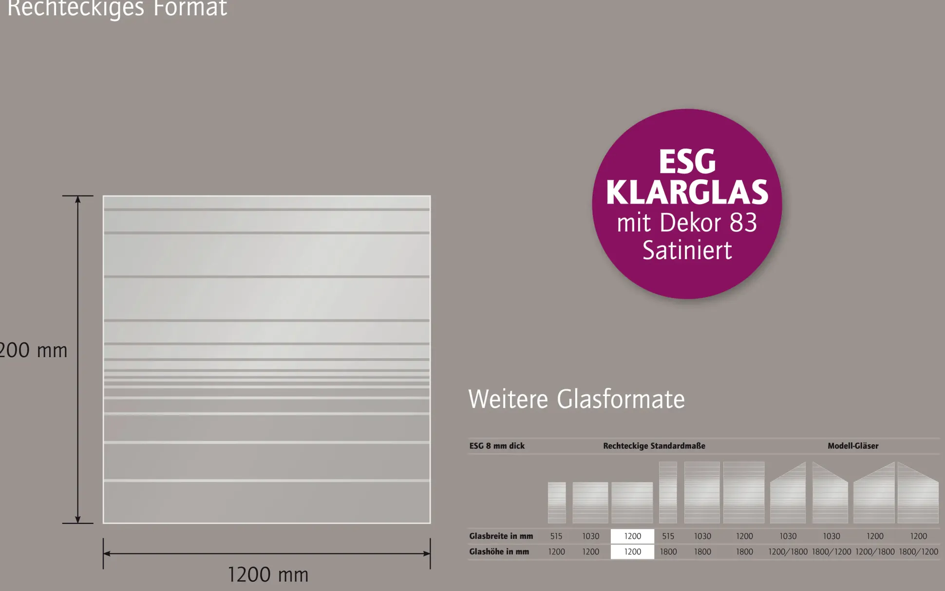 Ambiente Glaszaun Dekor 83 120 x 120 cm gehärtetes 8 mm Glas