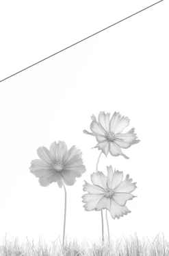 Ambiente Glaszaun Dekor 93 schräg 120 x 120/180 cm gehärtetes 8 mm Glas