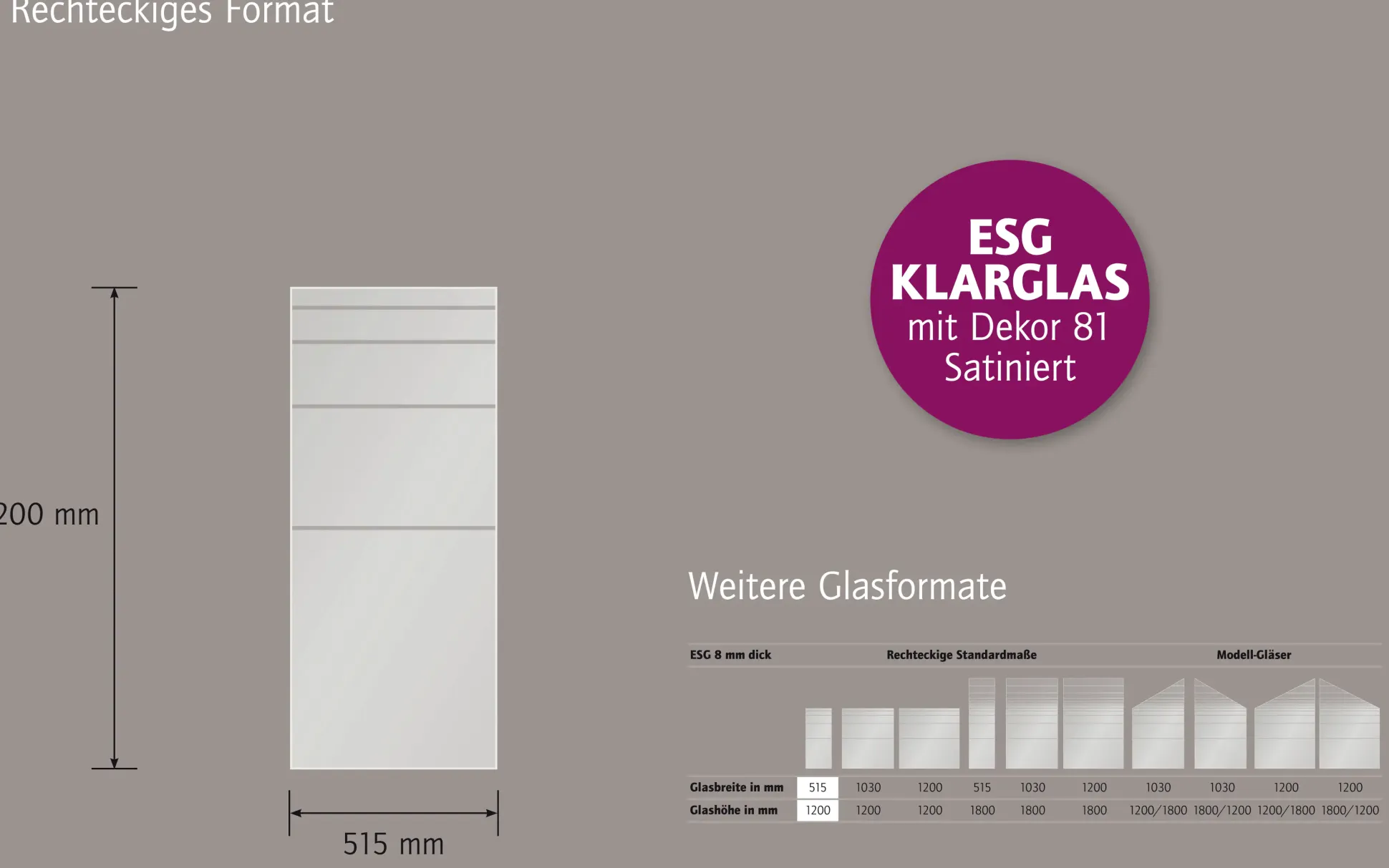 Ambiente Glaszaun Dekor 81 51,5 x 120 cm gehärtetes 8 mm Glas