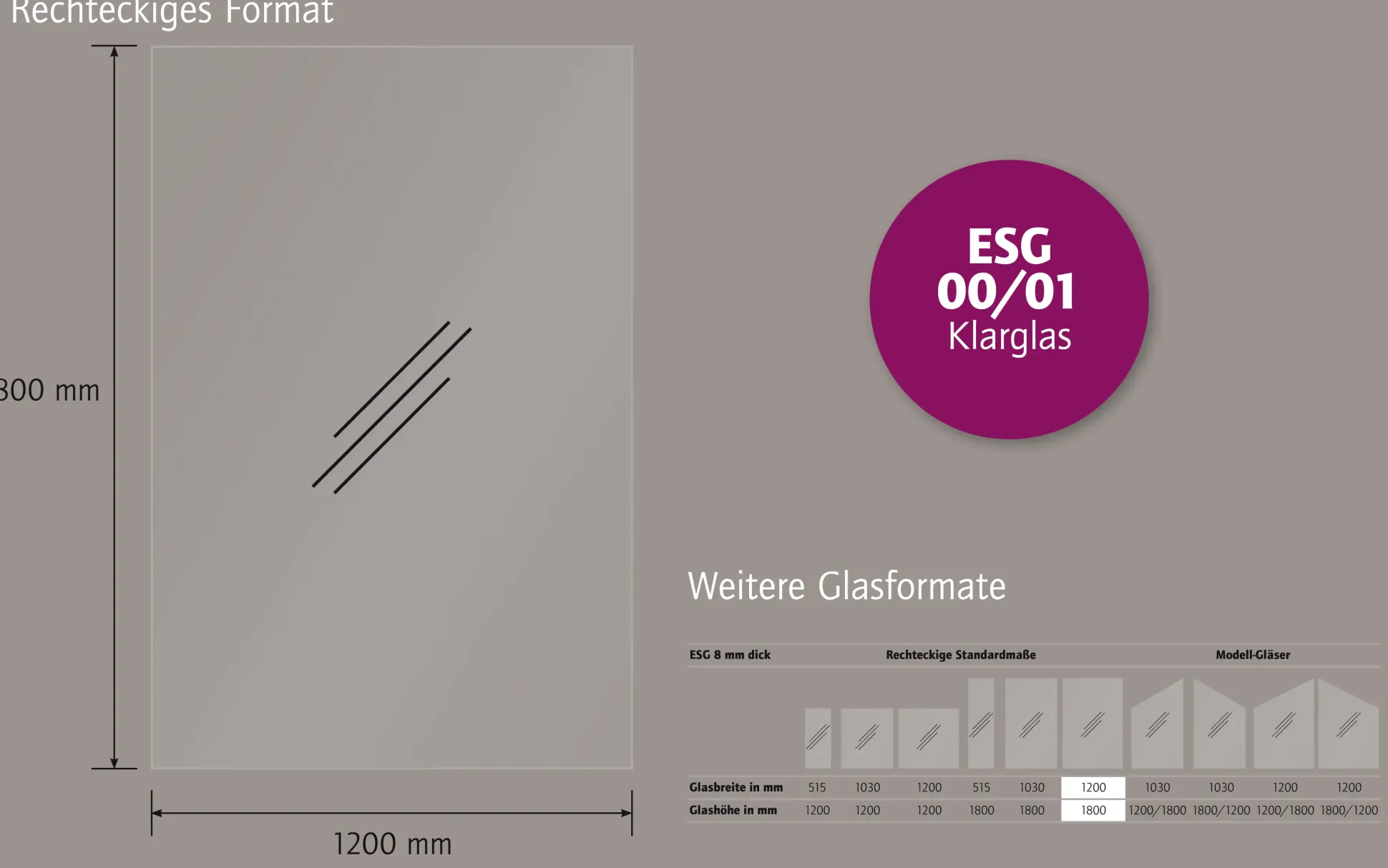 Ambiente Glaszaun Dekor 00/01 120 x 180 cm gehärtetes 8 mm Glas