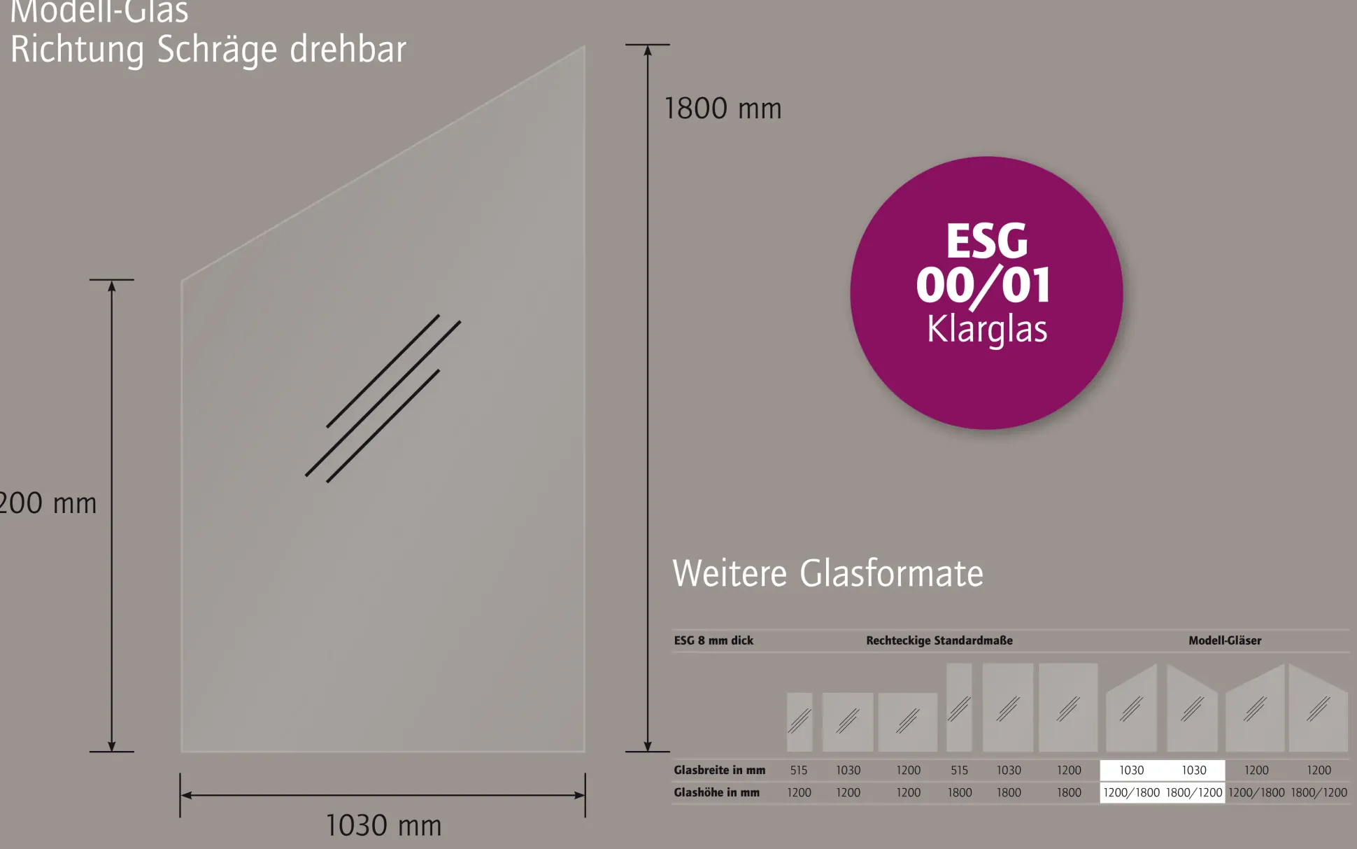 Ambiente Glaszaun Dekor 00/01 schräg 103 x 120/180 cm gehärtetes 8 mm Glas