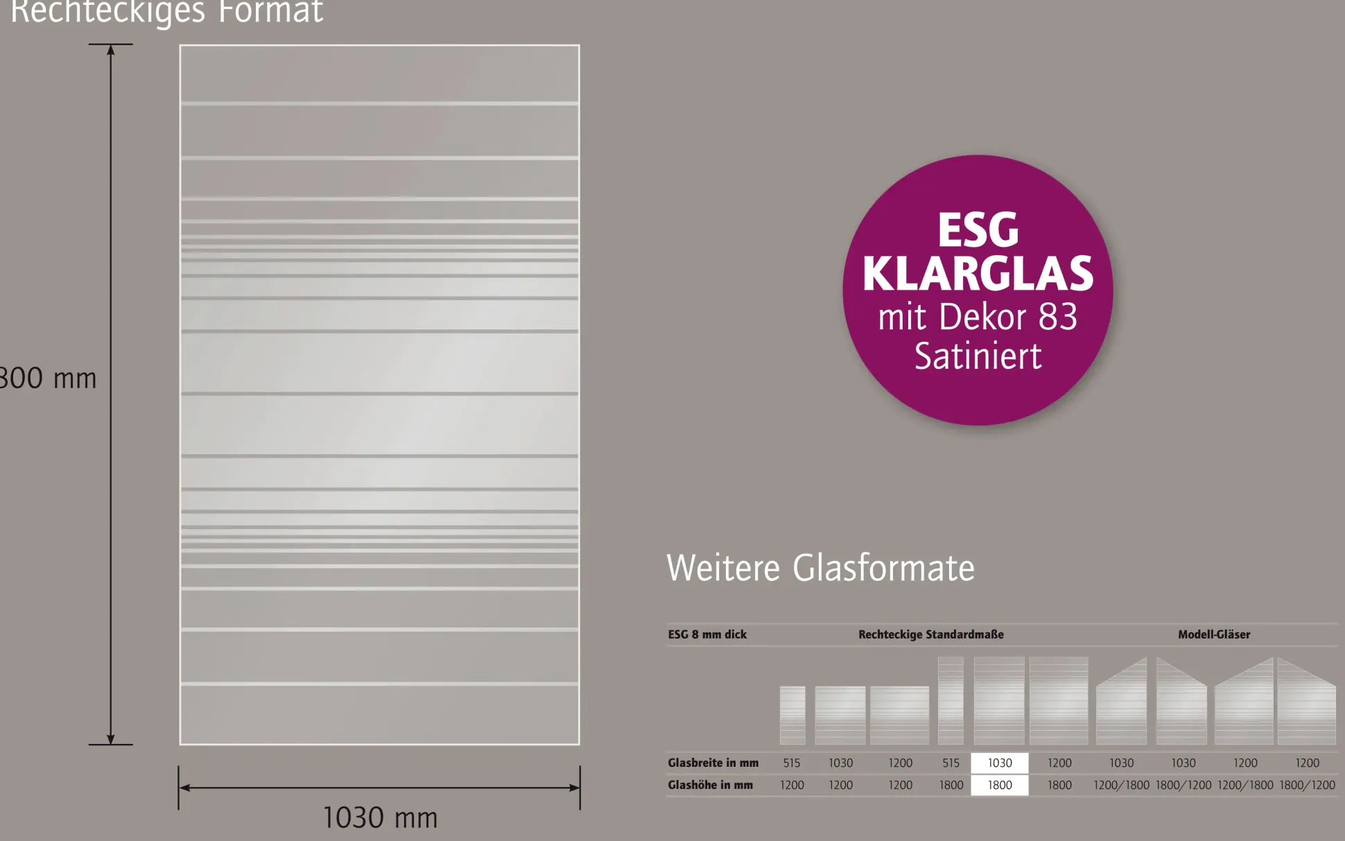 Ambiente Glaszaun Dekor 83 103 x 180 cm gehärtetes 8 mm Glas