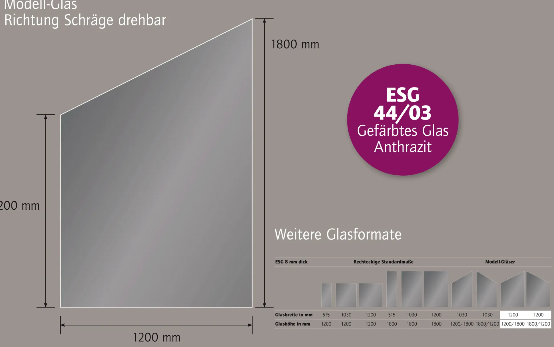 Ambiente Glaszaun Dekor 44/03 schräg 120 x 120/180 cm gehärtetes 8 mm Glas