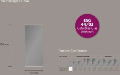 Ambiente Glaszaun Dekor 44/03 51,5 x 120 cm gehärtetes 8 mm Glas