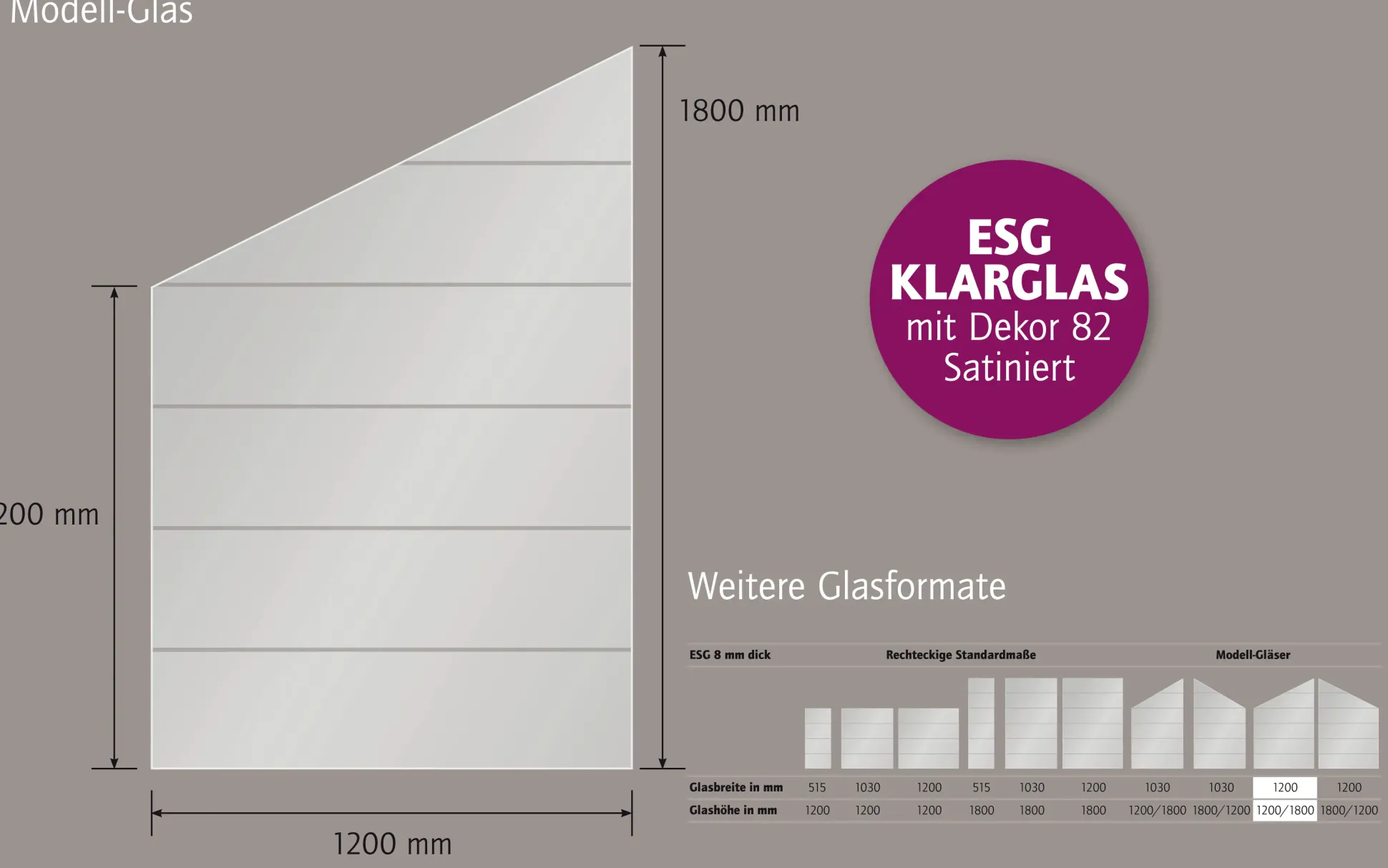 Ambiente Glaszaun Dekor 82 schräg 120 x 120/180 cm gehärtetes 8 mm Glas