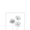 Ambiente Glaszaun Dekor 93 120 x 120 cm gehärtetes 8 mm Glas