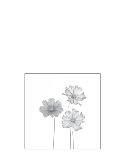 Ambiente Glaszaun Dekor 93 120 x 120 cm gehärtetes 8 mm Glas