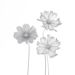 Ambiente Glaszaun Dekor 93 120 x 120 cm gehärtetes 8 mm Glas