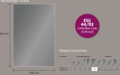 Ambiente Glaszaun Dekor 44/03 120 x 180 cm gehärtetes 8 mm Glas