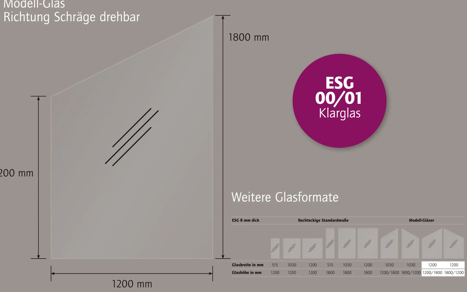 Ambiente Glaszaun Dekor 00/01 schräg 120 x 120/180 cm gehärtetes 8 mm Glas