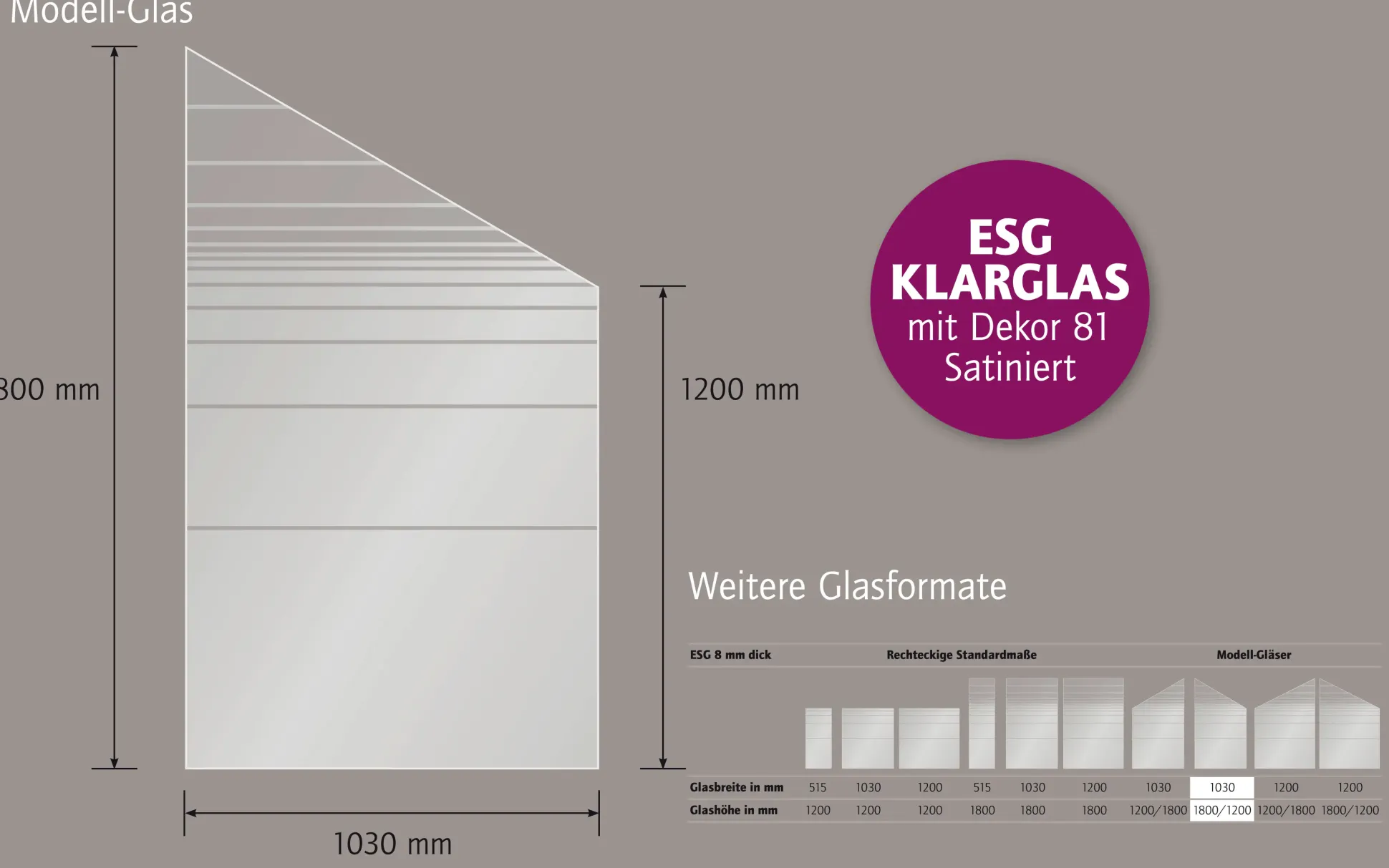 Ambiente Glaszaun Dekor 81 schräg 103 x 180/120 cm gehärtetes 8 mm Glas