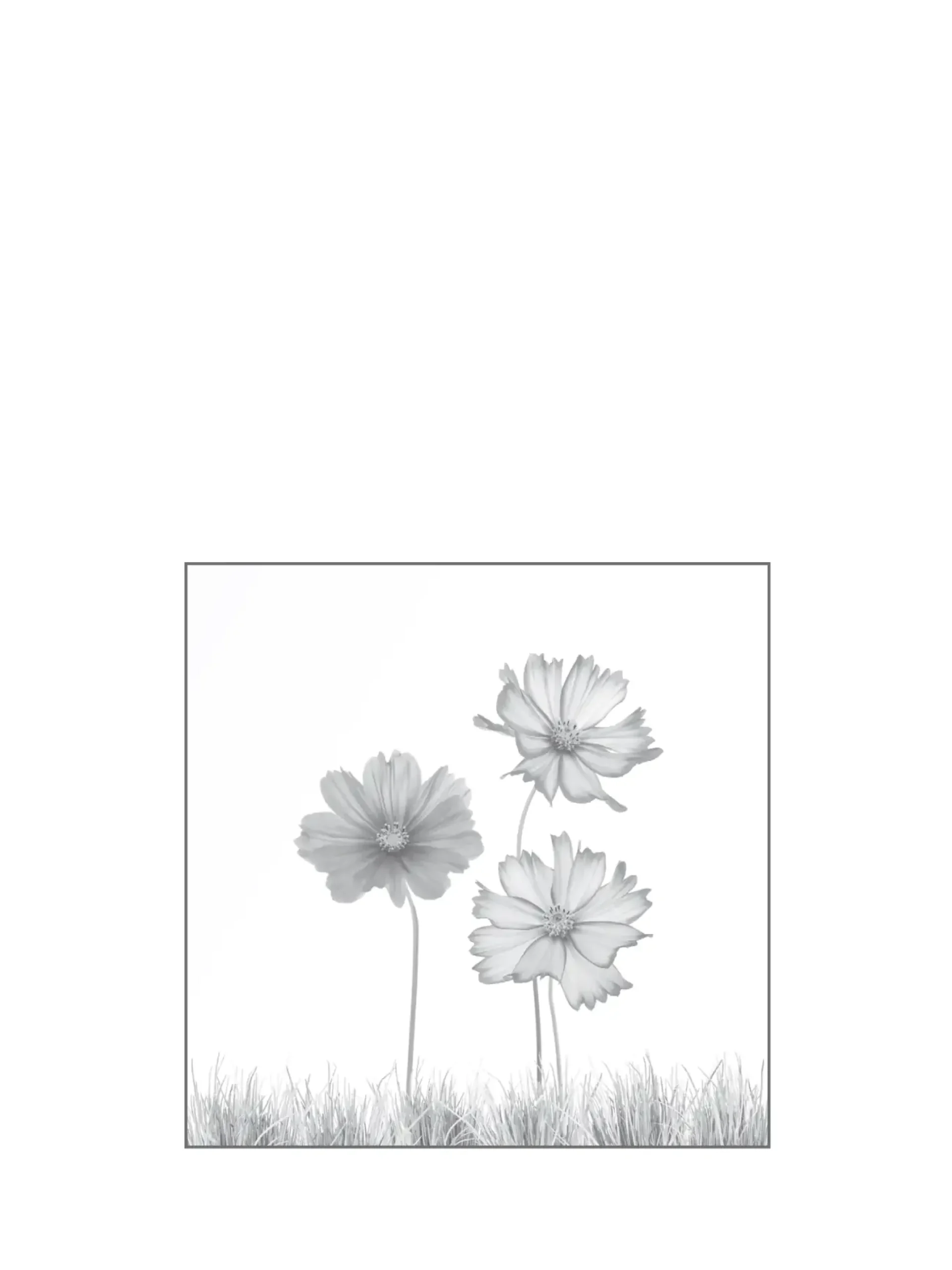 Ambiente Glaszaun Dekor 93 120 x 120 cm gehärtetes 8 mm Glas