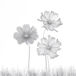 Ambiente Glaszaun Dekor 93 120 x 120 cm gehärtetes 8 mm Glas