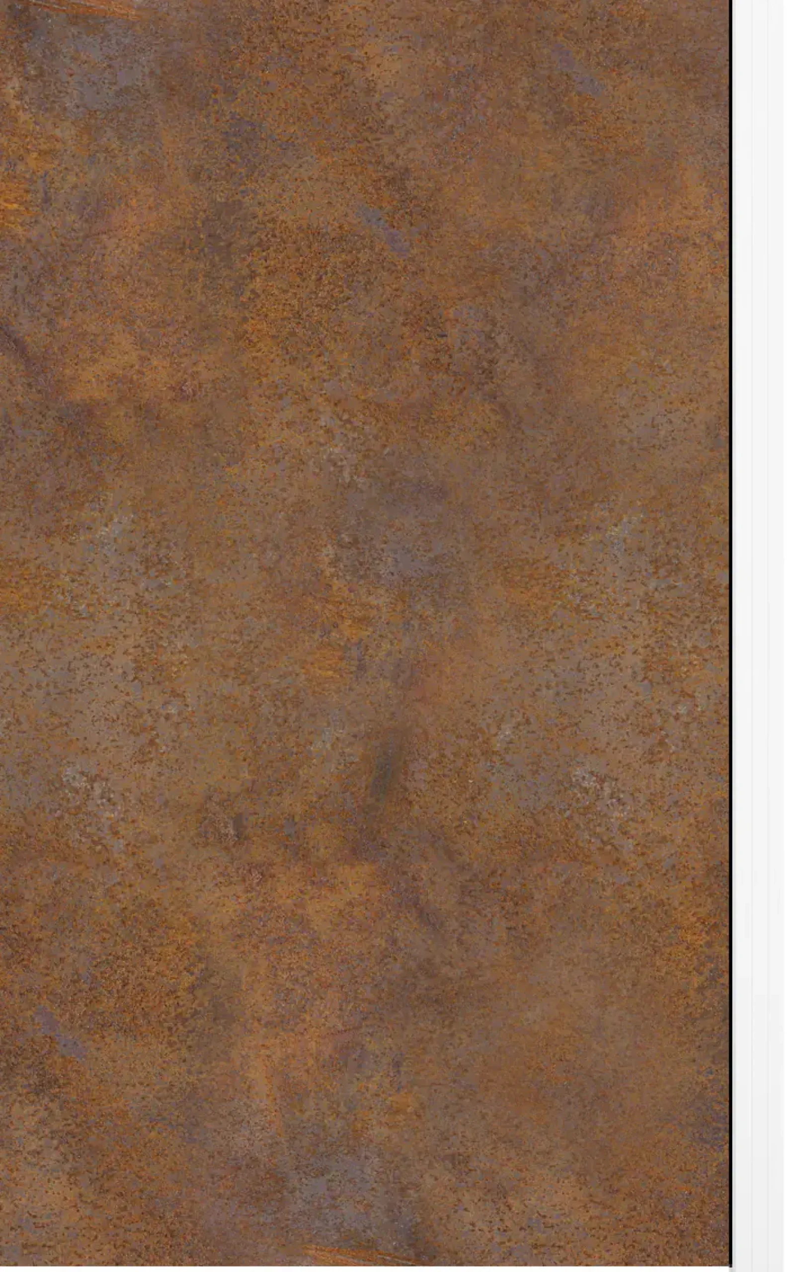 Ambiente Glaszaun Erweiterungsset Klarglas 187 x 107,2 cm mit Motivdruck weiß