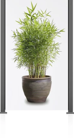 Ambiente Glaszaun Grundset Klarglas 187 x 107,2 cm grau