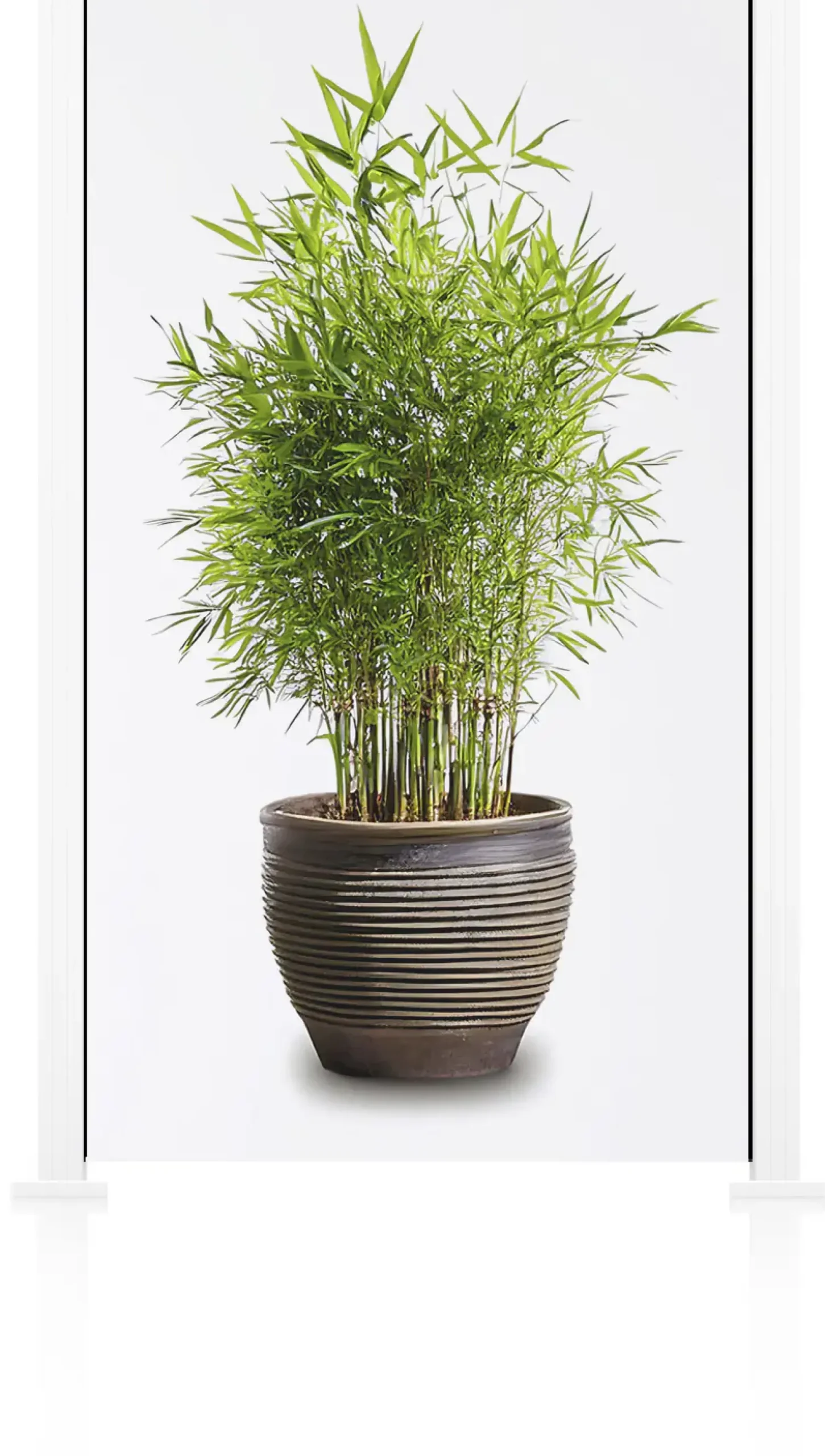 Ambiente Glaszaun Grundset Klarglas 187 x 107,2 cm weiß