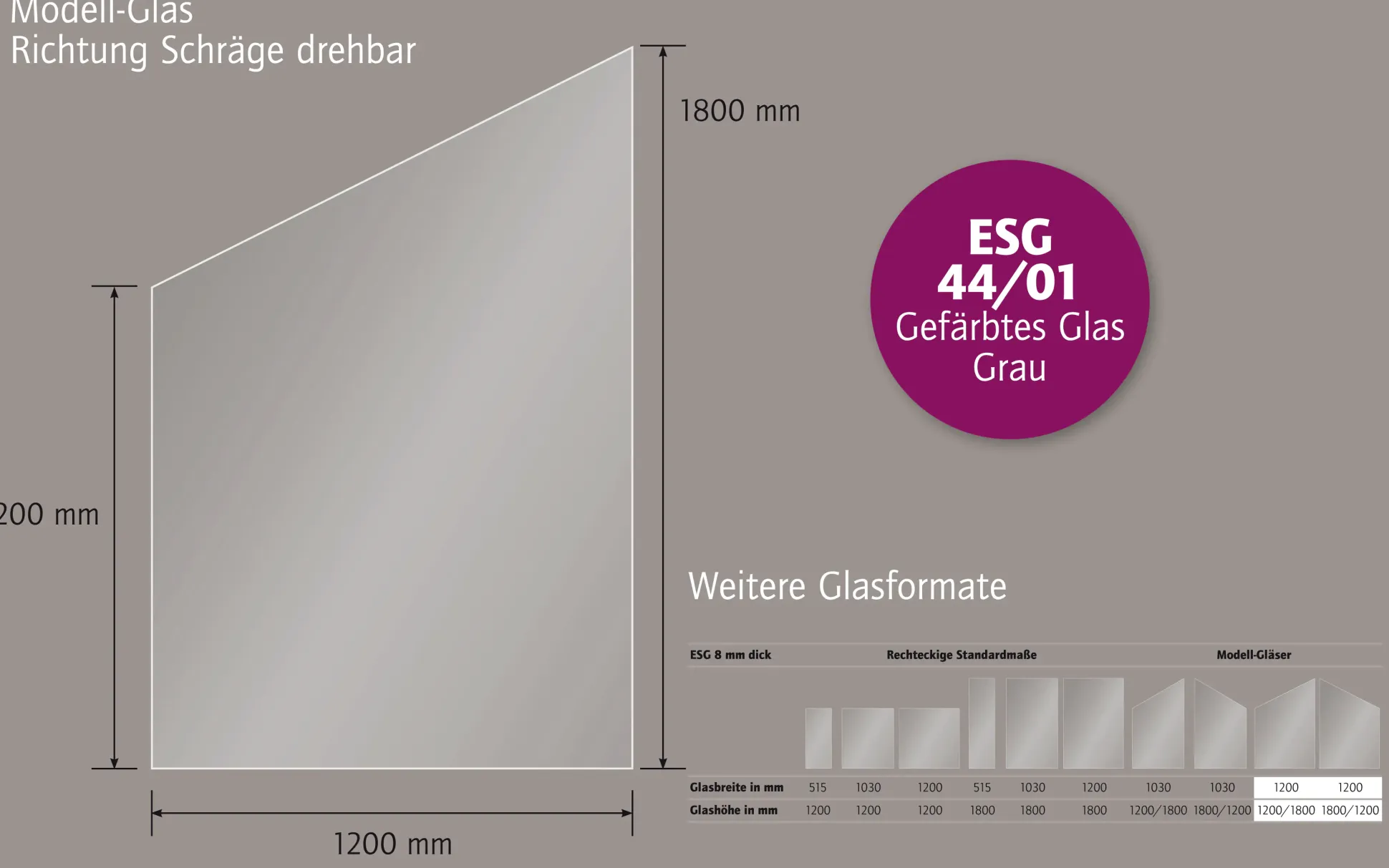 Ambiente Glaszaun schräg B: 120 x H: L 120/R 180 cm, gehärtetes 8 mm Glas