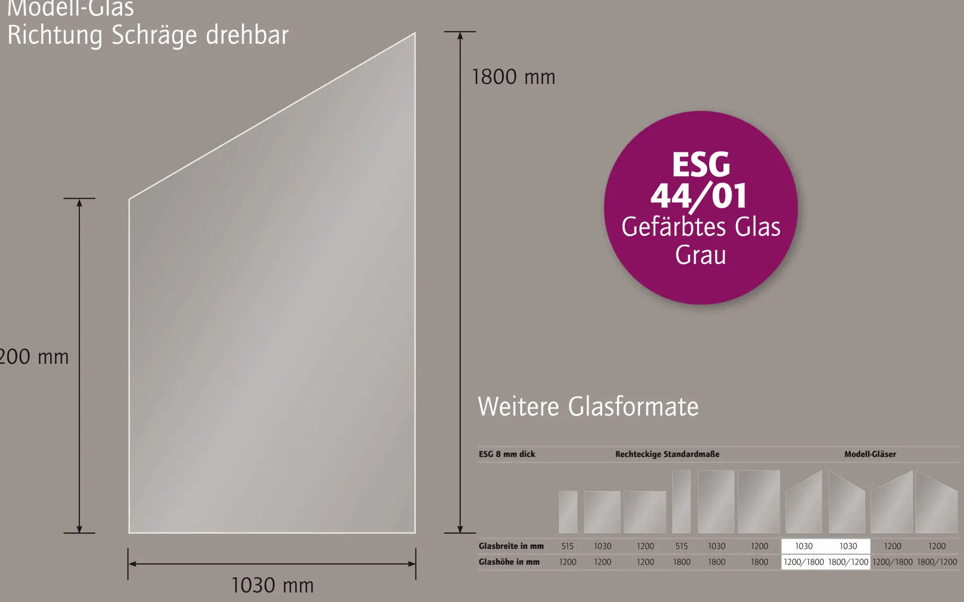 Ambiente Glaszaun schräg B: 103 x H: L 120/R 180 cm, gehärtetes 8 mm Glas