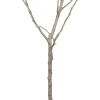 Apfelbaum in Sorten 10 L Container