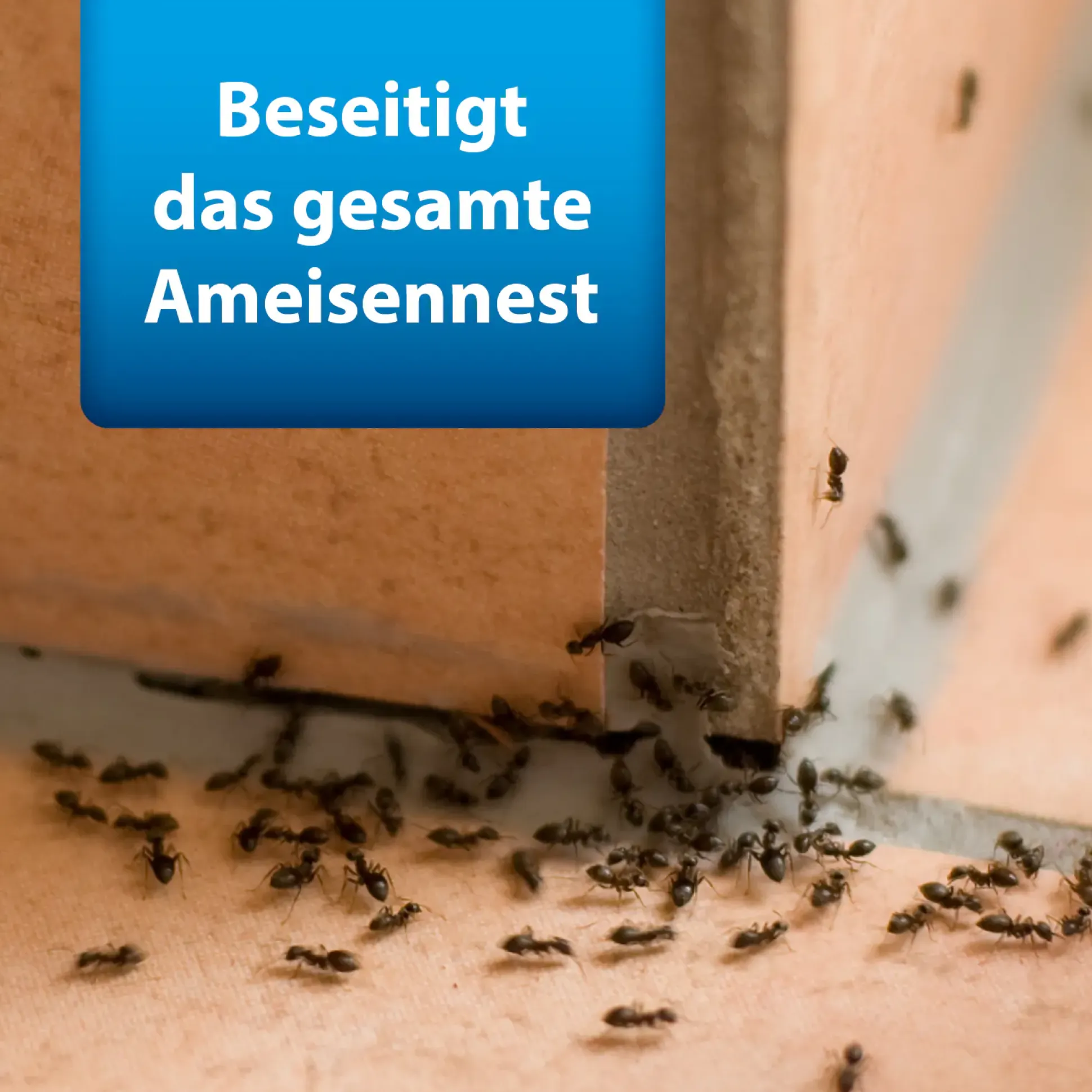 Ardap Pro Ameisen Streumittel 500 g