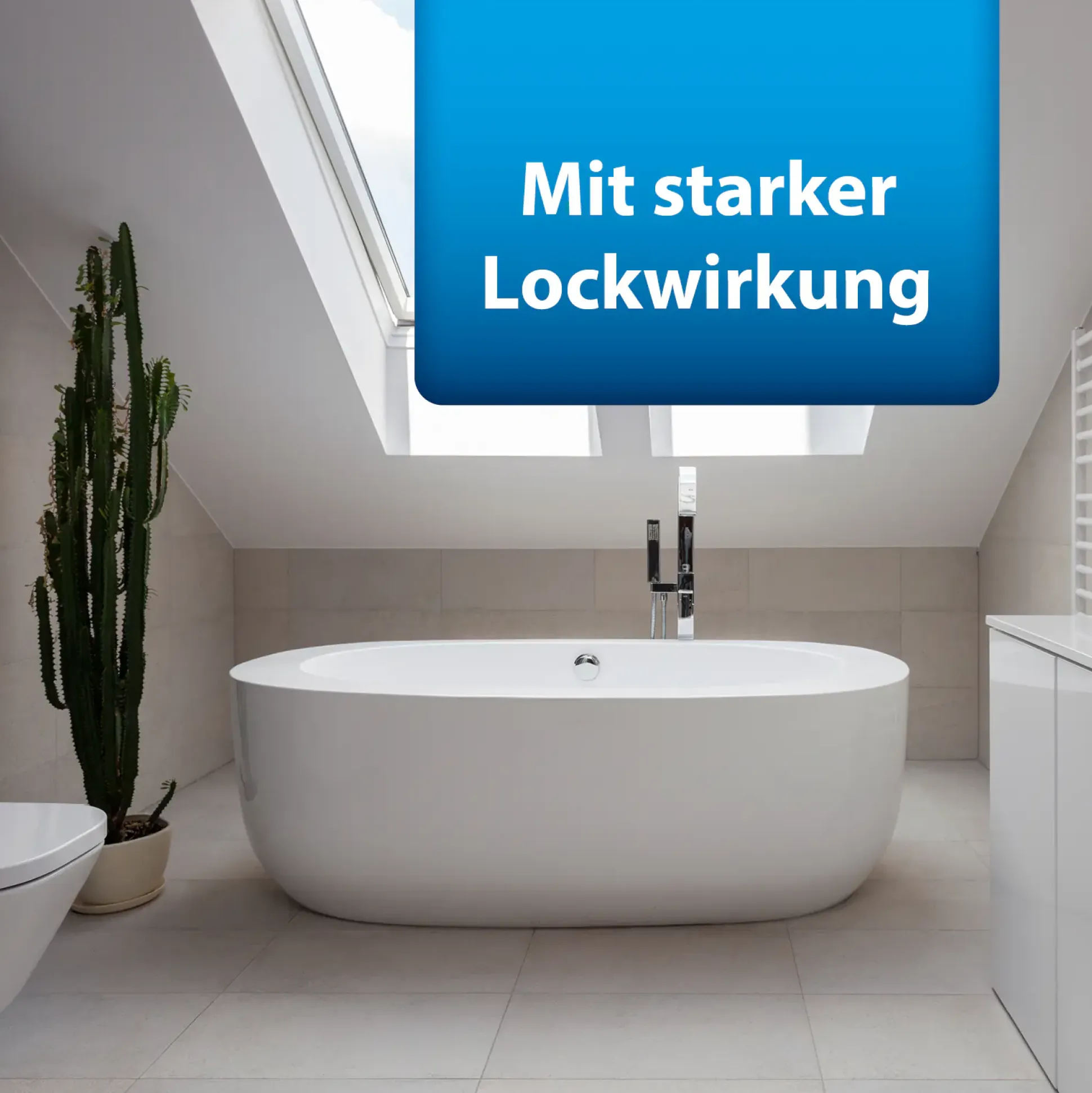 Ardap Pro Silberfischchenköderdose 4 Stück