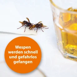 Ardap Wespenfalle Nachfüllpack 2 Stück